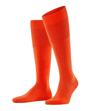 Ponozky Falke Airport Knee-high Socks Panske Oranžové | KWZU-36812